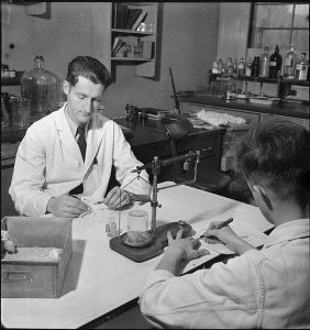 564px-Penicillin_Past,_Present_and_Future-_the_Development_and_Production_of_Penicillin,_England,_1943_D16963
