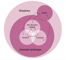 Screen Shot 2016-05-23 at 9.38.18 AM