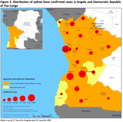 Screen Shot 2016-06-30 at 6.26.37 AM