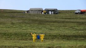 Courtesy of UK DailyMail