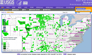 screen-shot-2017-01-03-at-6-04-01-am